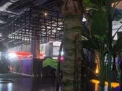 -夜的第七章·演艺自助餐厅