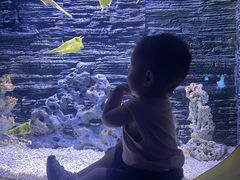 -苏州海洋馆