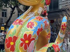 -越秀西湖花市(广州城市广场花卉店)