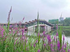 -西海子公园