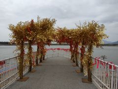 -青龙湖公园