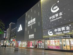 -沙洲路步行街(长安南路店)