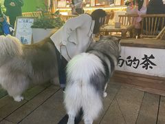 -龙湖重庆时代天街