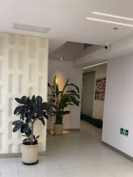 -魔型社烫染店
