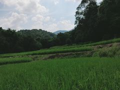 -世间香境·七溪地