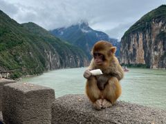 -白帝城·瞿塘峡景区