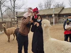 -北戴河集发农业梦想王国