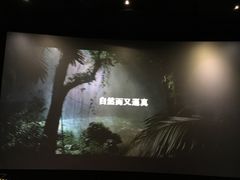 -中影佰纳国际影城DMAX(花都广百广场店)