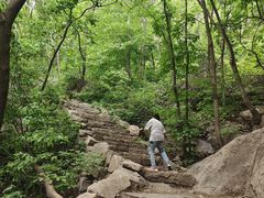 -大岭沟猕猴桃谷风景区