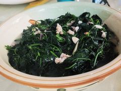 草菇煮绿线叶-区海鸡场饭店(石壁店)