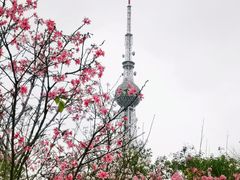 -文华公园(禅城区)