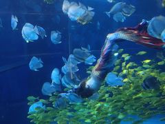 -太平洋海底世界