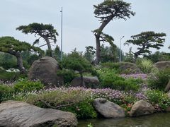 -罗红摄影艺术馆