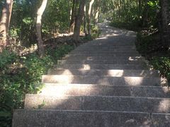 -梧桐山风景名胜区