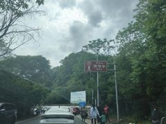 -上海佘山国家森林公园天马山园