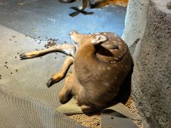 -酷嗒动物文化乐园(cutezoo西溪乐天城店)