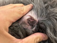 -comecome来吧宠物(奥克斯中心店)