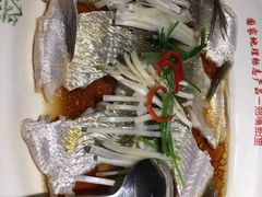 -丹江渔村(望京店)