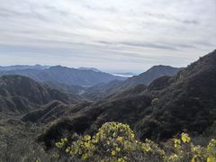 -大岭沟猕猴桃谷风景区
