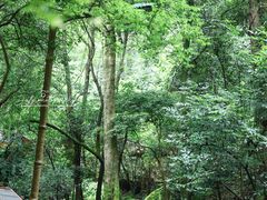 -昆明青龙峡风景区