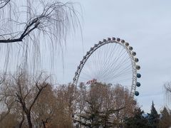 -北京石景山游乐园
