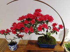 -汇龙潭