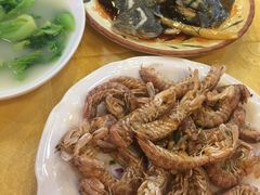-鸿达渔港