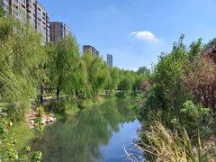 -洋湖国家湿地公园