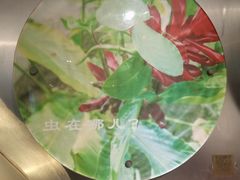 -上海昆虫博物馆