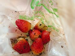 -雪儿钱局泡菜
