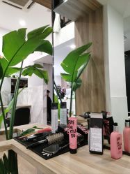 点击看大图 -Garden花園造型