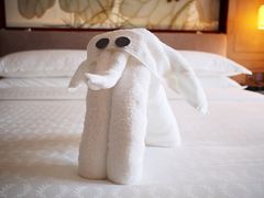 iphone_upload_pic-上海嘉定喜来登酒店