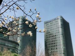 -上海跨国采购会展中心