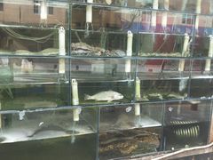 -来之顺海鲜菜馆·青岛菜(栈桥店)