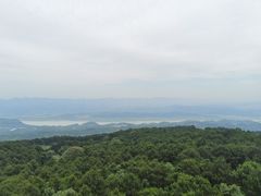 -铁山坪森林公园