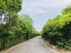 -雨花胜境