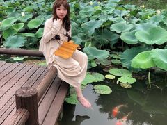 -鹅湖玫瑰文化园
