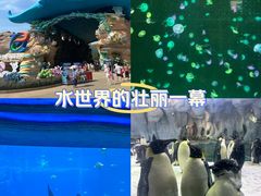 -珠海长隆海洋王国