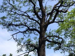 -鹫峰国家森林公园