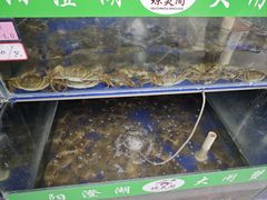 -阳澄湖大闸蟹·琼灵阁牌品牌连锁(吴中总店)