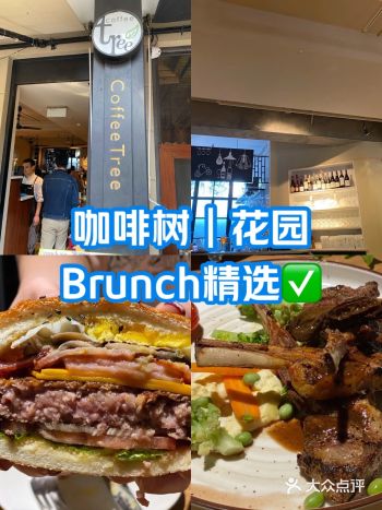 咖啡树｜花园Brunch精选
