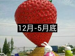 -普迪生态园