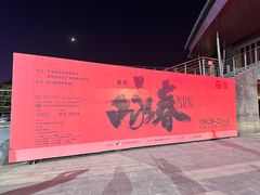 -合肥大剧院