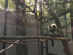 -动物园(地铁站)