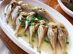 花鼓鱼-丰收渔港饭店(嵊泗店)