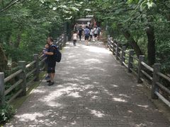 -紫金山山顶公园