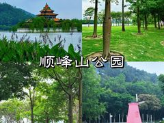 -凤城·食都
