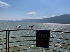 -滇池海埂公园