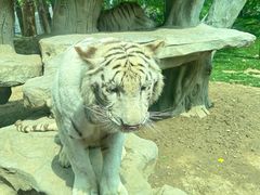 -北京野生动物园