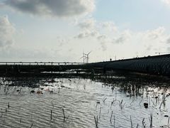 -南汇新城海滩